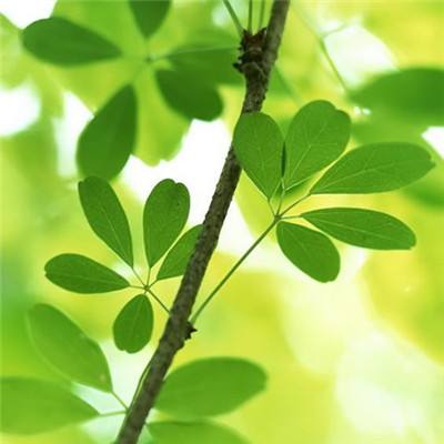 崔永元道歉，“4天6000万”与范冰冰无关，那么，这份合同是谁的？