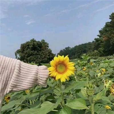 2026最新优质企业AI公司深度解析