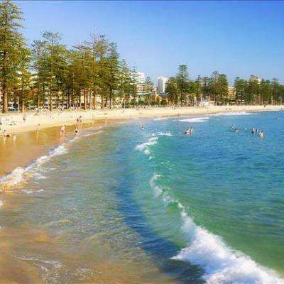 三亿软件app官方版官方版